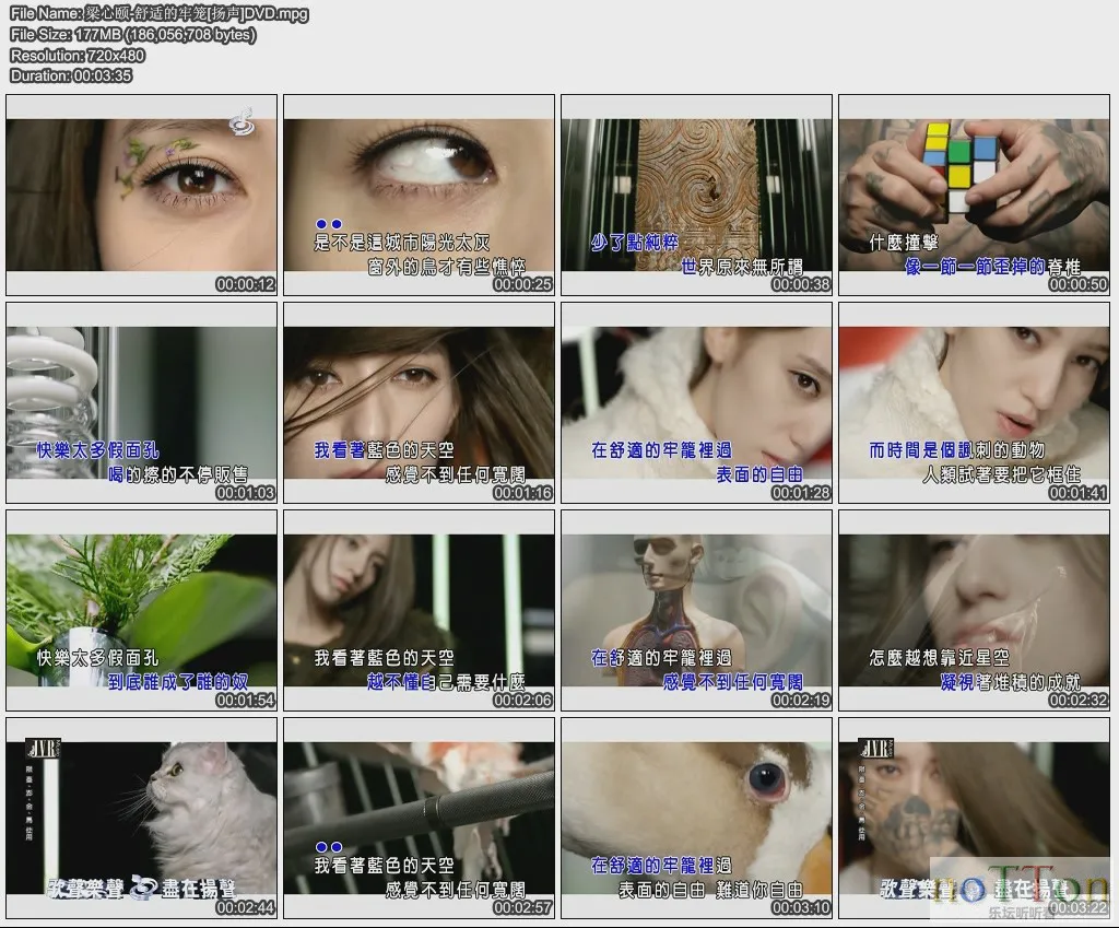 梁心颐-舒适的牢笼[扬声]DVD.webp