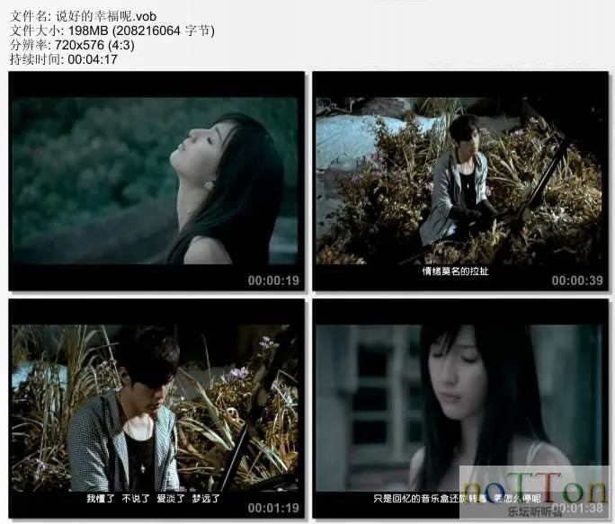 11.webp