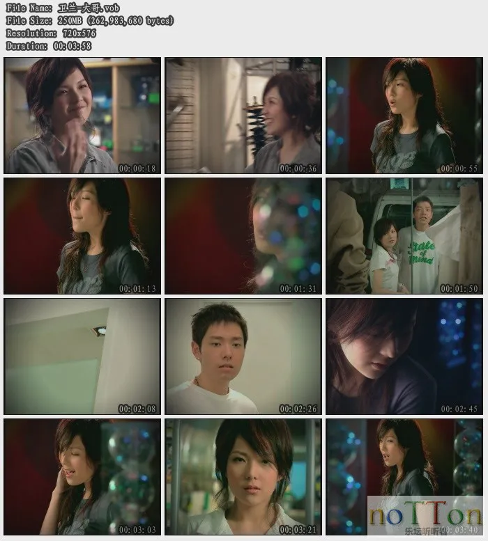 卫兰-大哥.webp